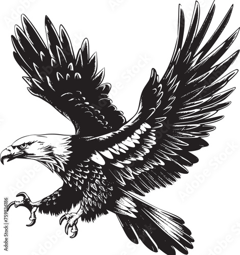 Eagle vector black and white