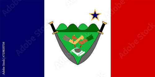 Flag of Bohol Province Philippines