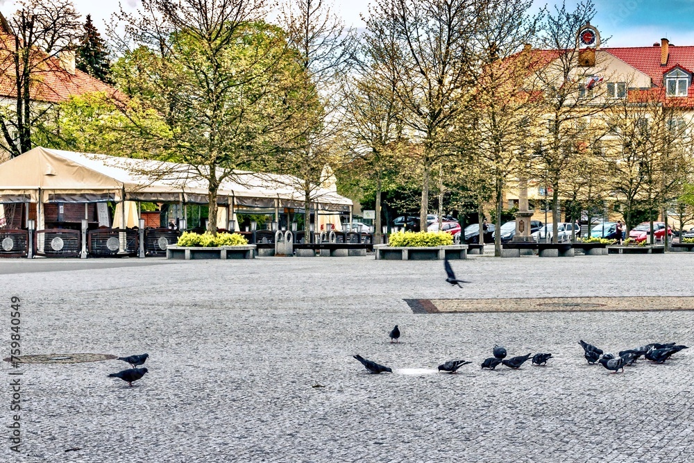 Fragment of Market Square - the central square of the city.
