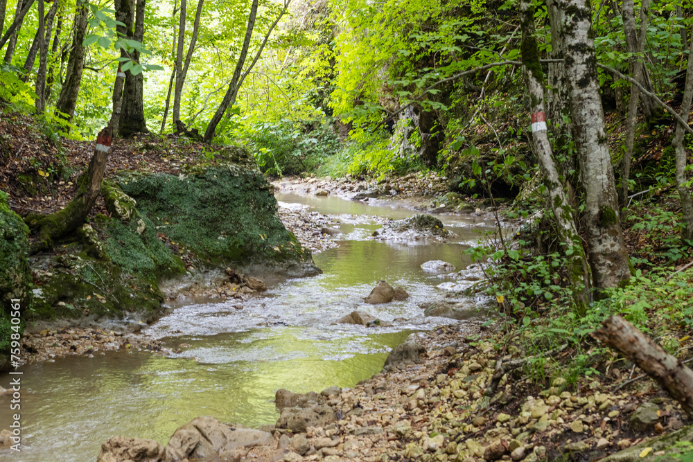 Morning on a mountain river, awakening in nature summer sunny mood. Morning on a mountain river, awakening in nature summer sunny mood.