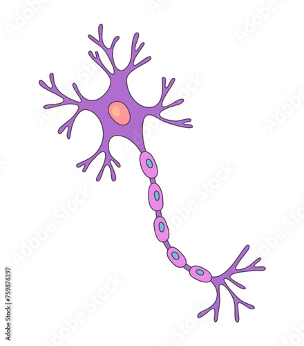 Vector Illustration of neuron. Doodle style