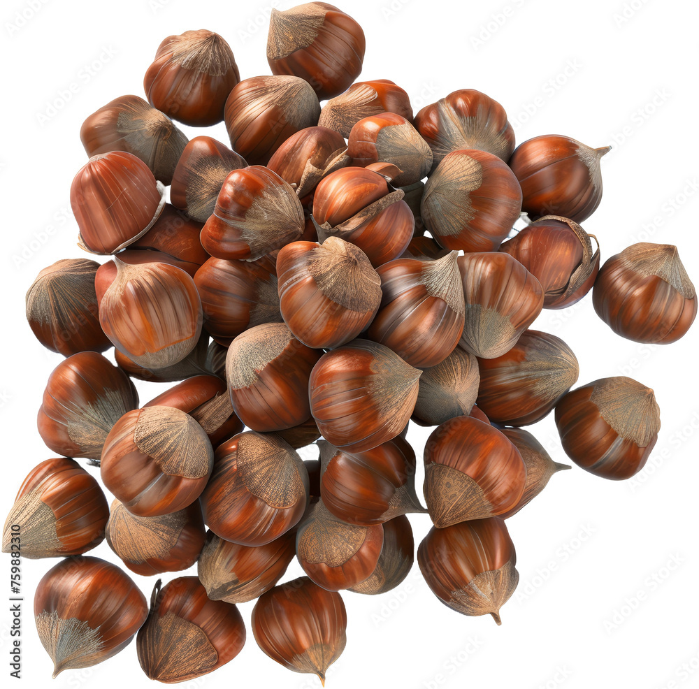 Pile of whole hazelnuts, cut out transparent Pile of whole hazelnuts, cut out transparent
