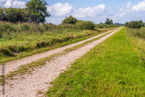 Long unpaved path with cart tracks in a Dutch nature reserve. The photo was taken in the province of North Brabant on a slightly cloudy day in the summer season.