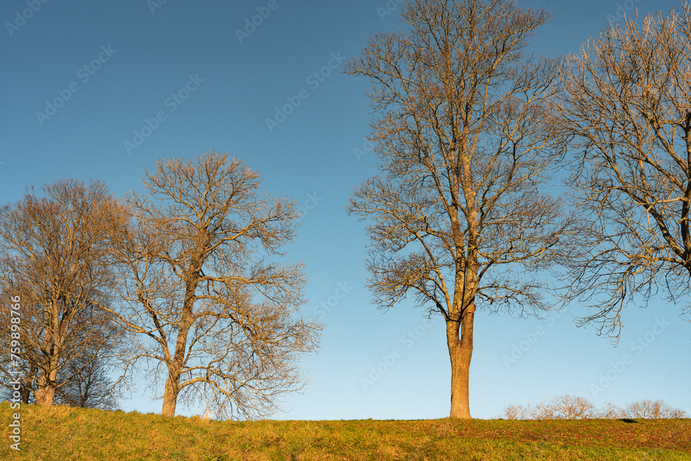 Obraz premium When in Denmark