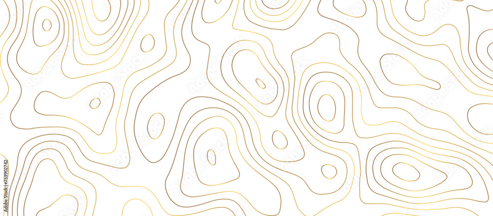 abstract golden wave paper curved reliefs background. Topography map pattern, Geographic curved, vector illustration. seamless textrue, vintage waves. Panorama view multicolor wave curve line. - obrazy, fototapety, plakaty 