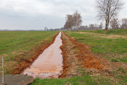 Schwarze Elster photo