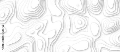 3d render, abstract white paper background. Paper cut vector art background banner texture. multi layer cutout geometric pattern on vector, Abstract soft white background with waves.