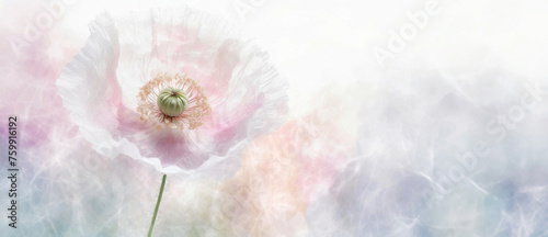 Pastelowe tło, piękny kwiat  wiosenny mak