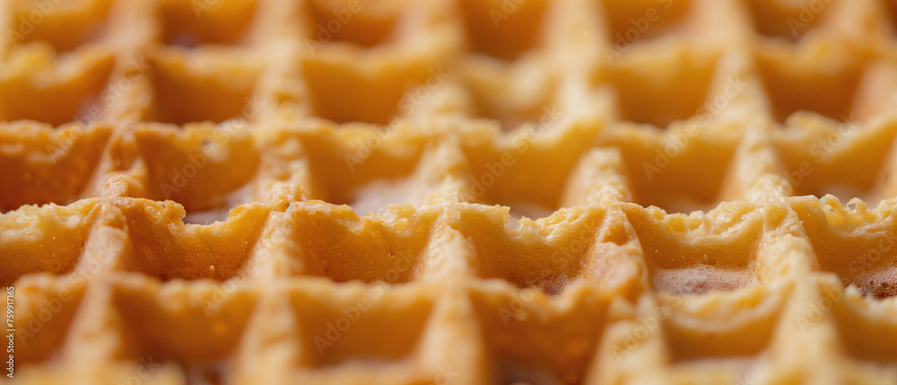 A Close up texture of Waffle layer A Close up texture of Waffle layer