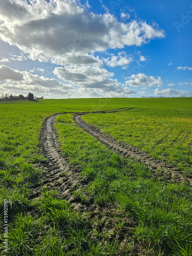 Landscape with t
ractor track at an agricultural field or meadow during spring, blue sky with some clouds, backlight scene photo