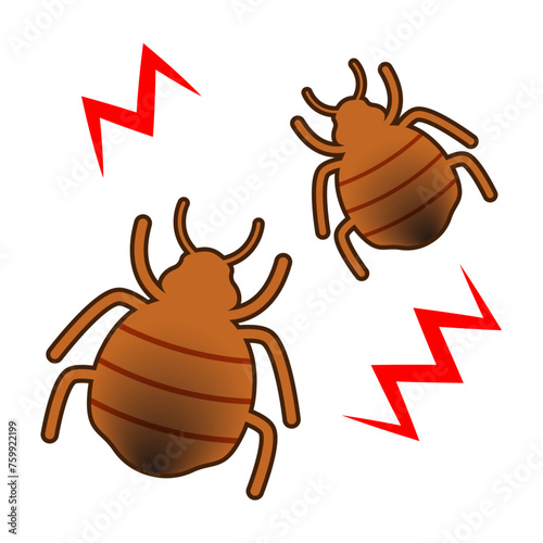 繁殖するトコジラミのイラスト