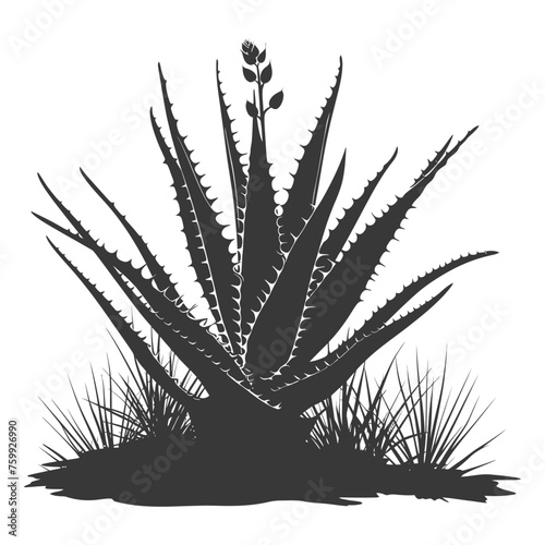 Silhouette Aloe vera tree in the ground black color only