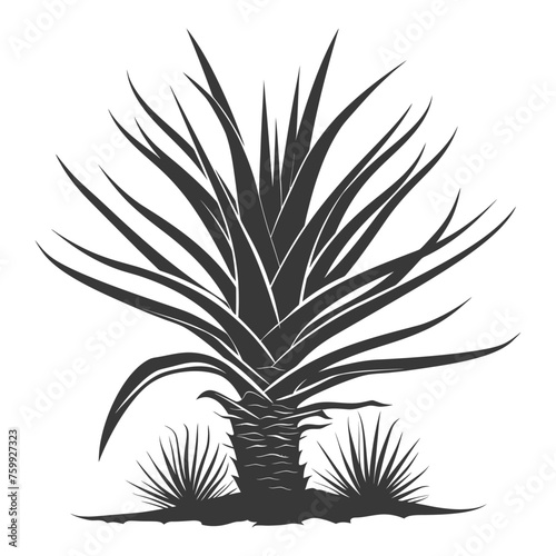 Silhouette Aloe vera tree in the ground black color only