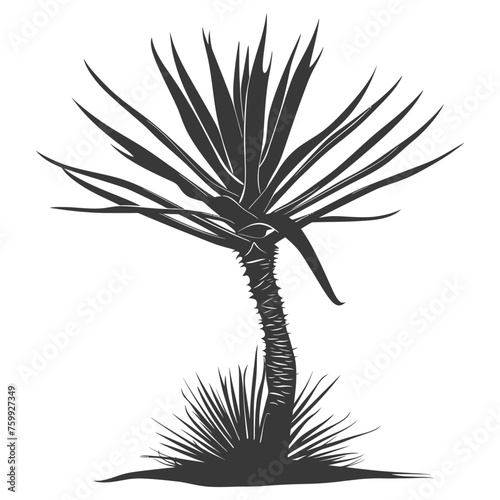Silhouette Aloe vera tree in the ground black color only