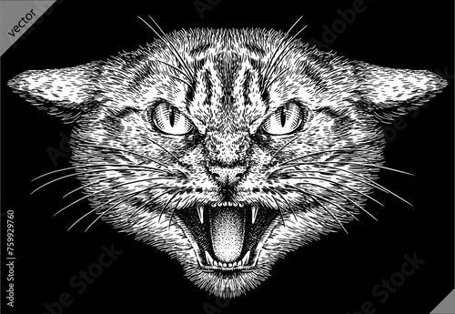 Vintage engraving isolated cat set illustration kitty ink sketch. Pet background kitten silhouette whisker art. Black and white hand drawn vector image