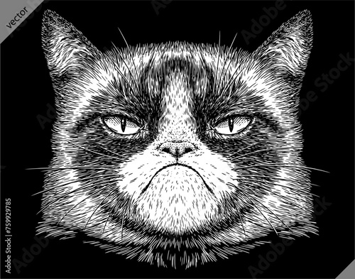 Vintage engraving isolated cat set illustration kitty ink sketch. Pet background kitten silhouette whisker art. Black and white hand drawn vector image