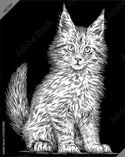 Vintage engraving isolated cat set illustration kitty ink sketch. Pet background kitten silhouette whisker art. Black and white hand drawn vector image