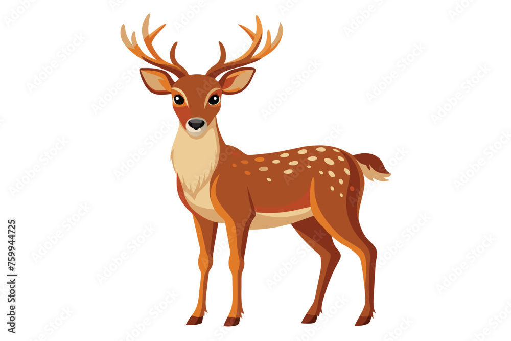 deer on a clean vector design deer on a clean vector design
