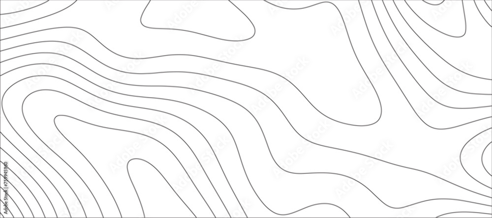 Abstract Topographic line art background. Mountain topographic terrain map background with white shape lines.Geographic map conceptual design.Black on white contour height lines. Abstract Topographic line art background. Mountain topographic terrain map background with white shape lines.Geographic map conceptual design.Black on white contour height lines.