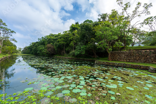 Serene Moat at Sigiriya Rock  Sri Lanka. A tranquil view of the moat surrounding Sigiriya Rock in Sri Lanka  adorned with lily pads and aquatic plants.