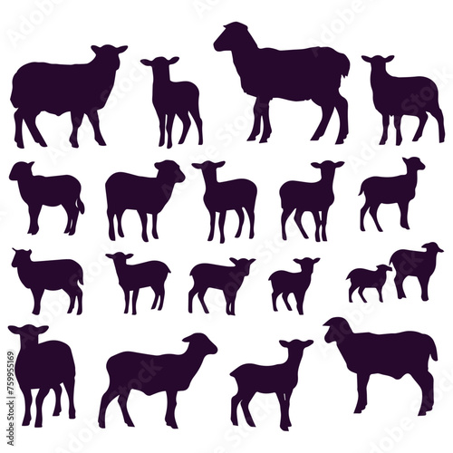 flat design lamb silhouette collection © AinStory