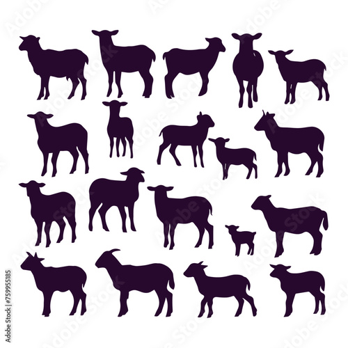 flat design lamb silhouette collection