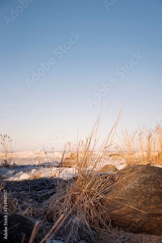 A tuft of hay in a beautiful morning on the coast of Finland
