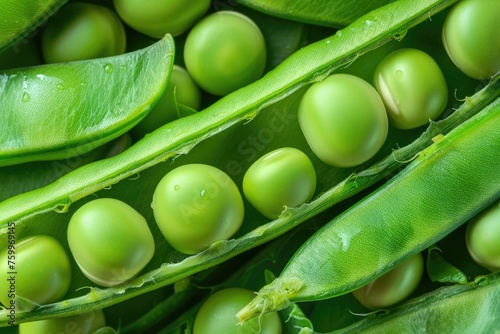 A close-up of fresh green pea pods with one pod open to reveal the round peas inside, highlighting the textures and vivid green colors photo