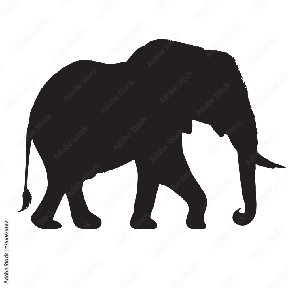 Fototapeta premium Elephant Silhouettes clean vectors, isolated on white background. Elephant clean silhouettes, Silhouette of African and Indian elephants 