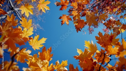 Vibrant autumn landscape with colorful foliage under clear blue sky, perfect for text placement