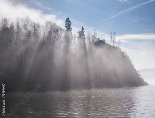 Sun rays breaking through the fog and trees.