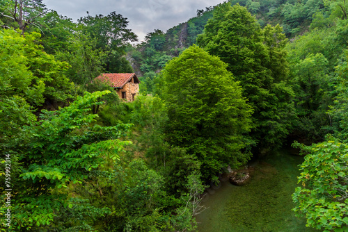 Stone house in the middle of a forest and next to the Dobra river in the municipality of Amieva, Asturias. photo