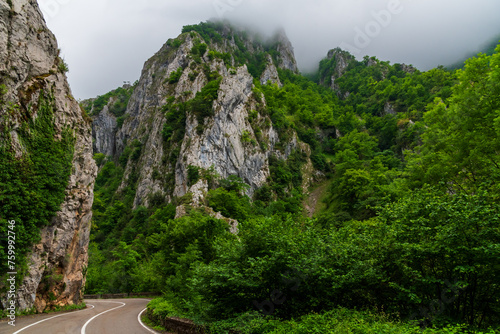 Road that runs through the Los Beyos gorge next to the Sella River and between the municipalities of Amieva and Ponga, Asturias.