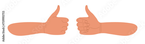 Like sign. Two human hands show approval sign. Consent, agreement, Success and achievement of goal. Human hands gesturing thumbs up showing good, ok. Hand thumb up or like sign isolated on white