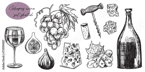 Time for wine vector hand drawn sketch illustration. Human hand holding wine glass. Bottle, cheese, grape vine, cork, corkscrew, isolated on white background. Doodle vintage design elements set