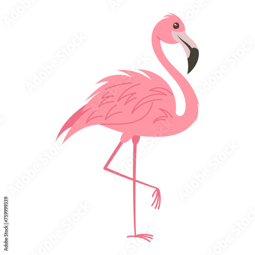 Pink flamingo hand drawn, vector illustration.