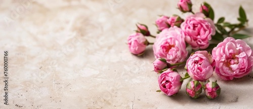 A group of pink flowers is arranged on a white countertop, with matching pink blossoms beside it.