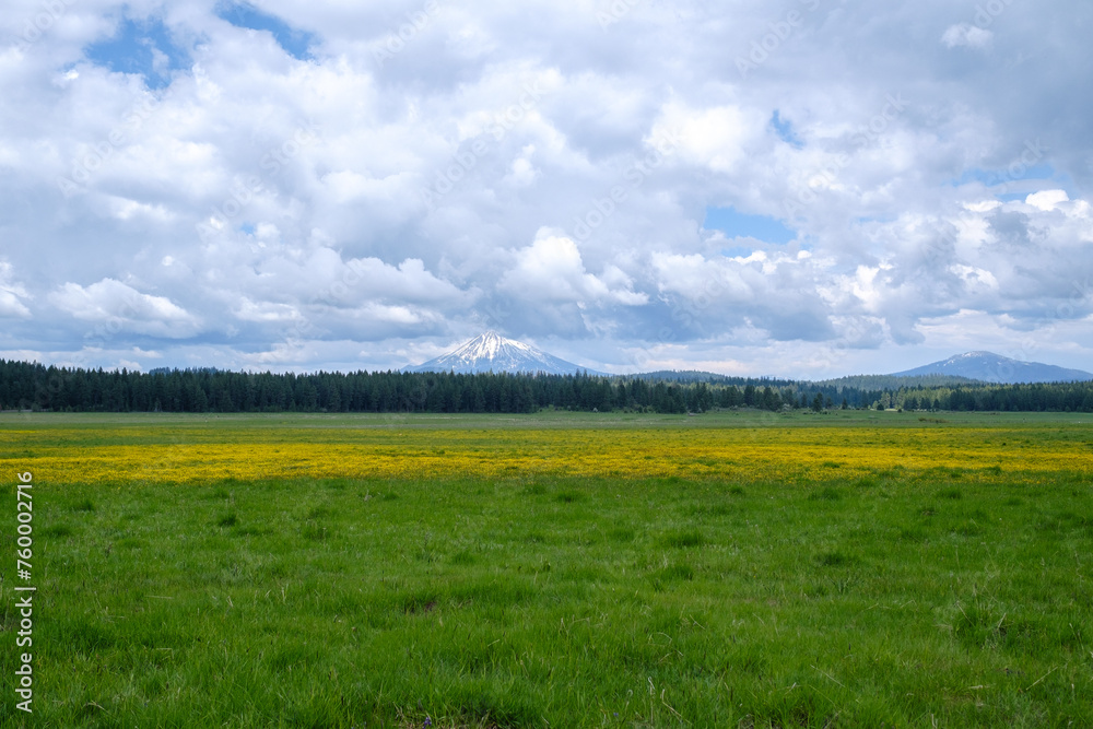 Mount Rainier, Oregon, USA