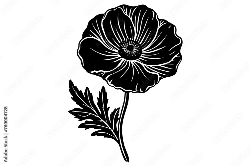 flower vector illustration