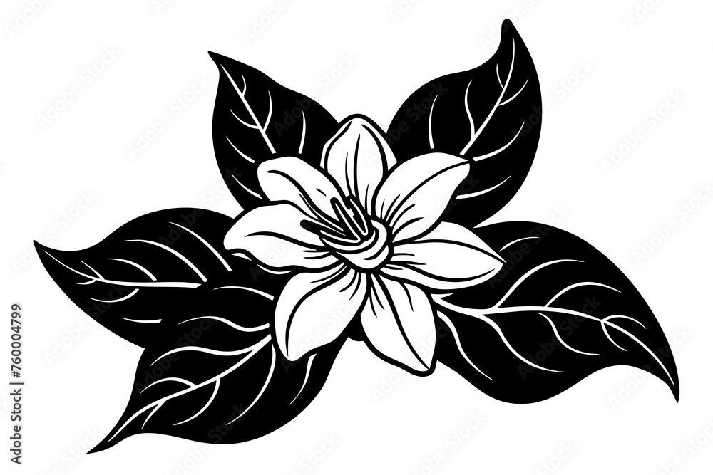 flower vector illustration flower vector illustration