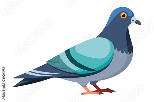  Pigeon, flat style, vector illustration artwork © Ishraq