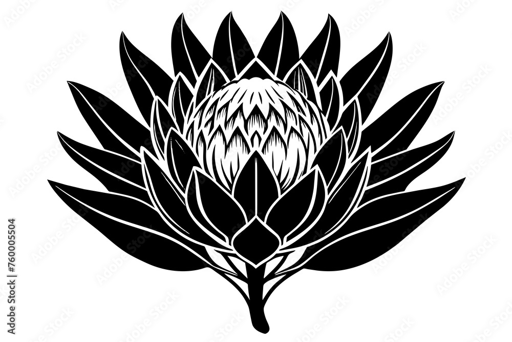 flower vector illustration flower vector illustration