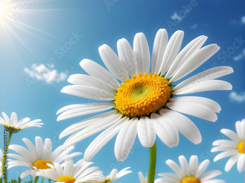 Skyward Grace: A delicate daisy, its white petals a stark contrast against the clear blue sky, reaches for the sun, embodying nature's simple elegance. generative AI