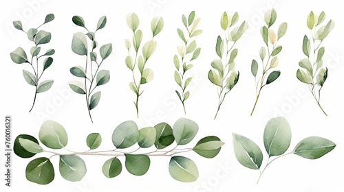 Watercolor flower bouquets clipart illustration and spring floral branch with green leaves decoration on white background