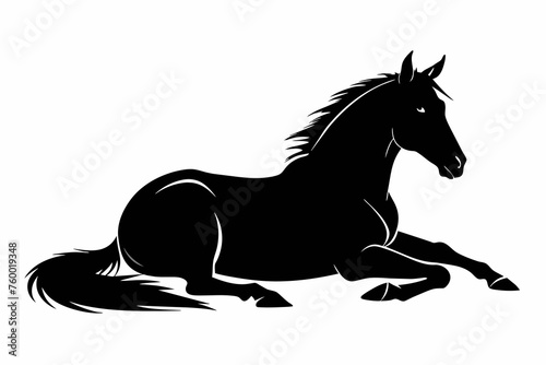 Photography silhouette of horse  laying in profile on white background