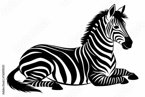 Fototapeta Naklejka Na Ścianę i Meble -  silhouette of  zebra laying in profile on white background