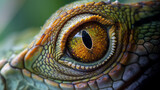 Close up of the eye of a chameleon. AI.