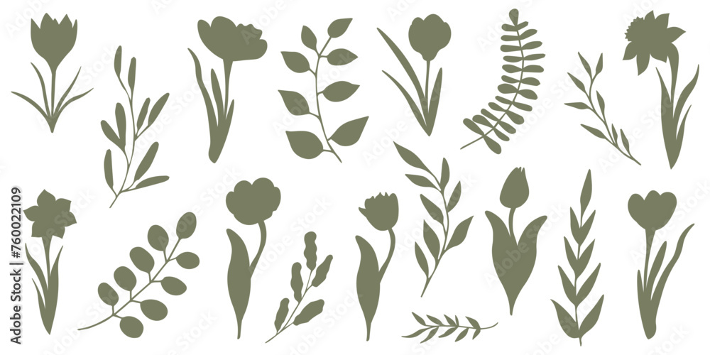 Set of elegant silhouettes of flowers, branches and leaves. Thin hand drawn vector botanical elements	
 - obrazy, fototapety, plakaty 