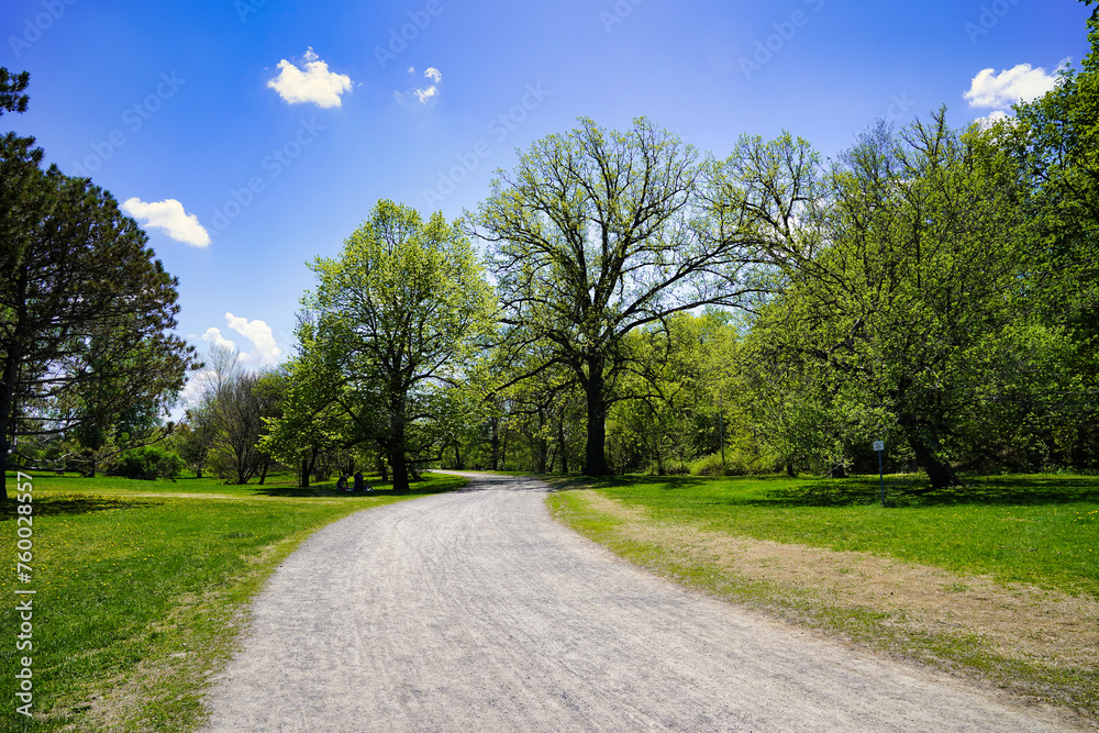 Beautiful sunlit trails and paths inside Ottawa's Dominion Arboretum on a warm spring day