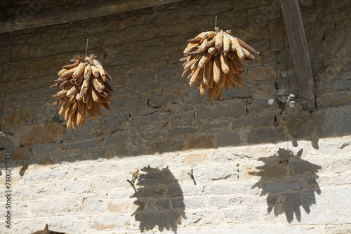 hanging corn husks drying in the sun by an old stone wall with their shadow  in eastern france
